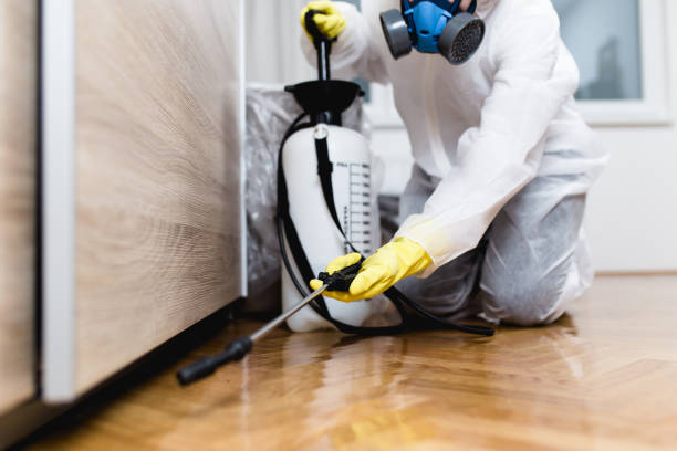 Best Mosquito Control Services  in Ringgold, LA