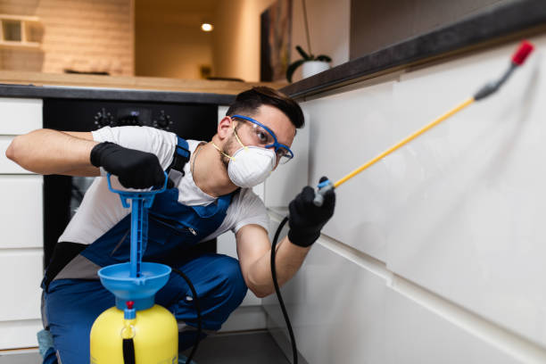 Professional Pest Control in Ringgold, LA