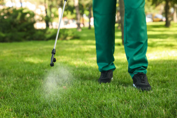 Best Mosquito Control Services  in Ringgold, LA