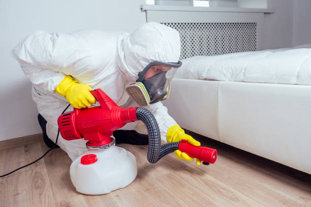 Best Commercial Pest Control Services  in Ringgold, LA