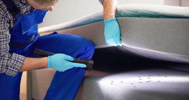 Best Commercial Pest Control Services  in Ringgold, LA