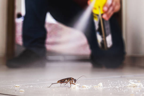 Pest Control for Restaurants in Ringgold, LA
