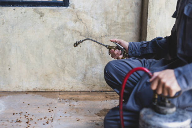 Best Rat Extermination Near Me  in Ringgold, LA